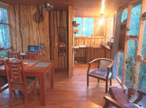 Casa Bosque Villarrica
